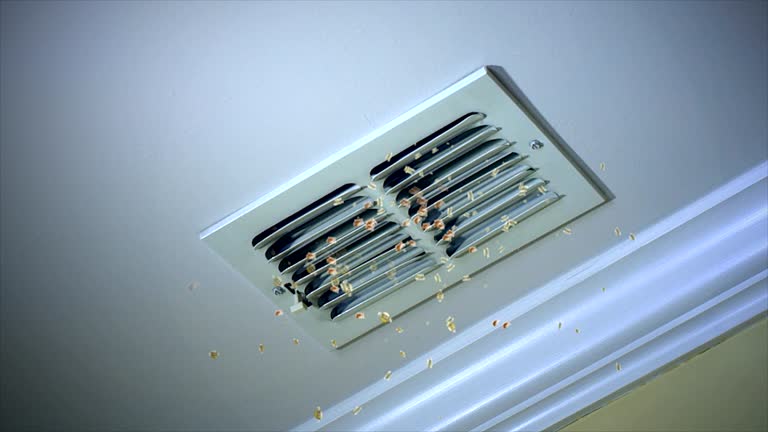 Best Dryer Vent Cleaning Services  in Questa, NM