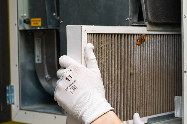 Best Air Duct Cleaning Near Me  in Questa, NM
