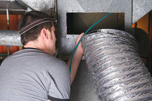 Best Air Duct Mold Removal  in Questa, NM
