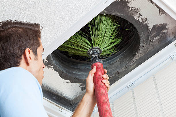 Best HVAC System Cleaning  in Questa, NM